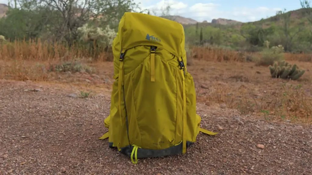 REI Flash 55 Pack