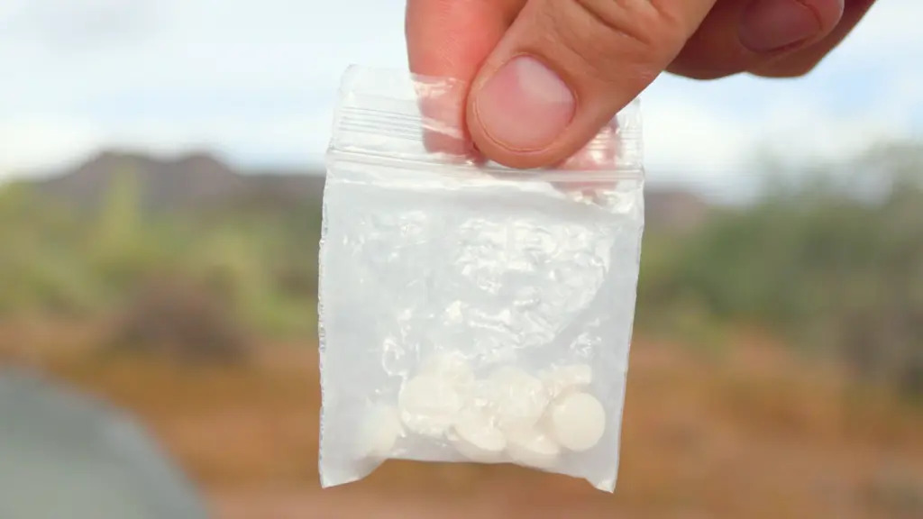 Toothpaste Tabs