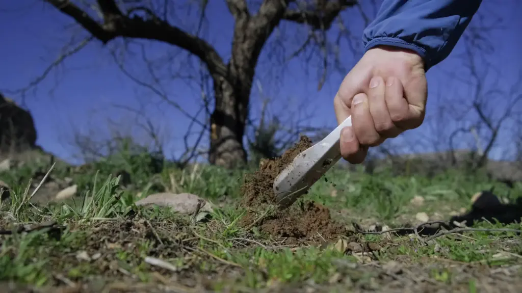 Bogler Trowel