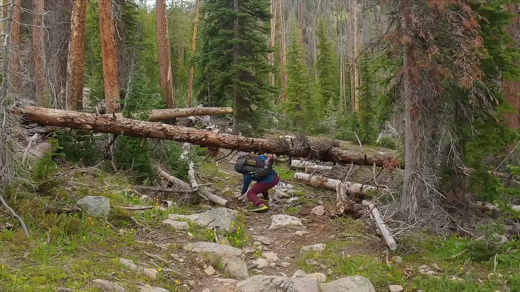Durability
