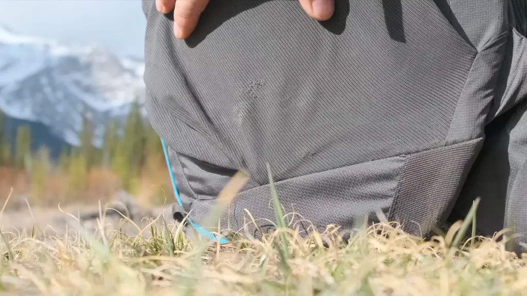There are a few small nicks in the mesh of the front pocket but otherwise no damage.